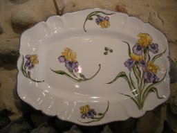plat-roti-iris
